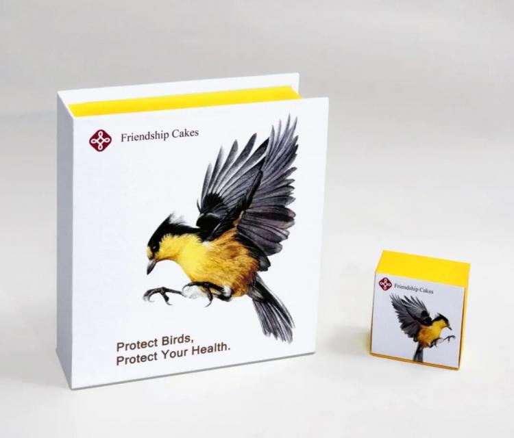 2025紅點品牌與傳達<a href=http://dekaron.com.cn/ target=_blank class=infotextkey>設(shè)計</a>獲獎作品公布145.jpeg